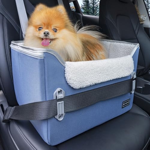 PETSFIT Hunde-Sitzerhöhung für mittelgroße Hunde mit 2 Sicherheitsleinen zum Anklipsen, patentierte Schnallen, Haustiererhöhungssitz (Blau (Bleu Neuf), Größe S) von Petsfit