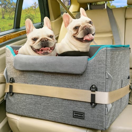 PETSFIT Hundeerhöhung Autositz, Hundeautositz für mittelgroße Hunde mit 2 Clip-On Sicherheitsleinen, Patentierte Schnallen, Haustierautositz mit großen Taschen für Haustiere unter 45 Pfund (Medium, von Petsfit