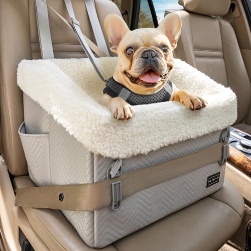 PETSFIT Hunde Autositz erhöht 12.5cm, Hundeautositz Hundesitz kleine Hunde mit Patent sichere Schnallen,Abnehmbarer und waschbarer Plüschbezug, Auto Rückbank Beifahrersitz für kleine Hunde bis zu 12kg von Petsfit