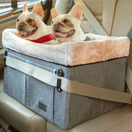 Petsfit Hundeautositz, mittelgroße Hunde oder 2 kleine Hunde mit patentierten Schnallen, waschbares Pad, verbesserter Hundeerhöhung, Autositz für Hunde bis zu 20,4 kg (Medium, Hellgrau) von Petsfit