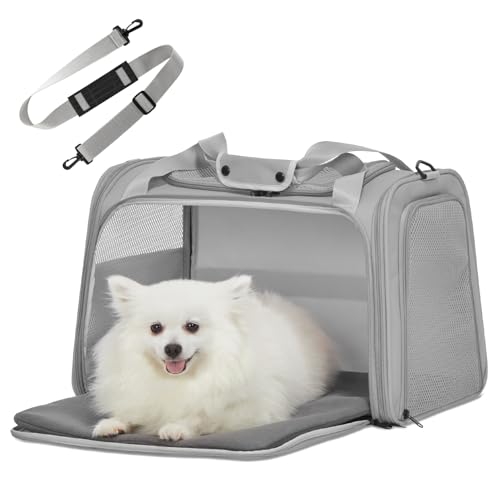 Petsfit Transportbox Katze kleine Hunde leicht Hundetasche für kleine Hunde Katzen Transporttasche Hundetragetasche,Hunde Tragetasche Hund mit Schutzgurt & erweiterbare Matte, L/Grau von Petsfit