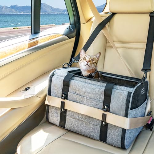 Petsfit Transporttasche Katze Hund für Auto, Hundetasche Hund Katze mit 2 Schnallen für den Sicherheitsgurt, Tragetasche Hund Katze faltbar mit Kissen, Transportbox Katze aus 4-seitigem Netz, Grau,M von Petsfit