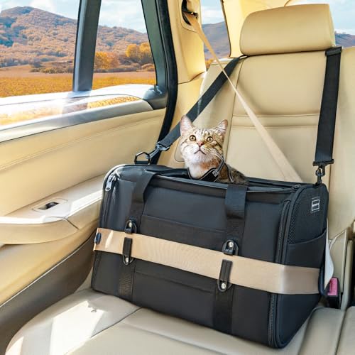 Petsfit Transportbox Katze Hundebox Auto Katzentransportbox Transportbox Hund - Faltbare Tragetasche mit 2 Patent-Schnallen für Autositz, 4-seitigem Netz & Abnehmbarem Kissen, S/Schwarz von Petsfit