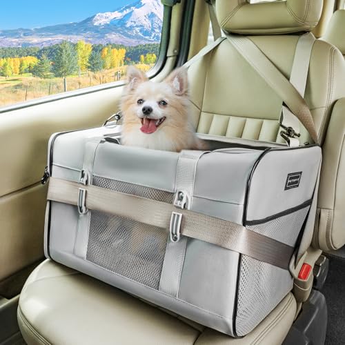 Petsfit Transporttasche für große Katzen (bis zu 9 kg), weiche Seiten, Auto-Reisetasche für Hunde mit patentierter Schnalle und weicher Polsterung, ideal für Autofahrten, 48,3 x 30,5 x 30,5 cm, Grau von Petsfit