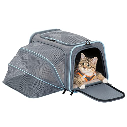 Petsfit Transporttasche für kleine Katzen, weich, von Fluggesellschaften zugelassen, erweiterbar, 40,6 x 25,4 x 22,9 cm von Petsfit