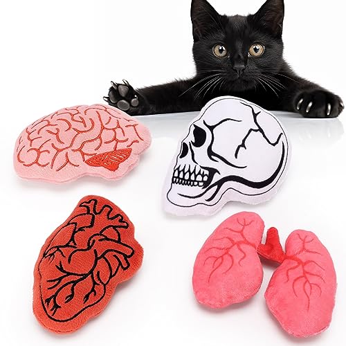 Petsinurarea Anatomische Katzenminze Spielzeug Halloween Katzenspielzeug Herz Gehirn Kauen Bissfest Spielzeug für Katzen Langeweile Relief Zahnreinigung Interaktives Katzenspielzeug Katzenminze von Petsinurarea