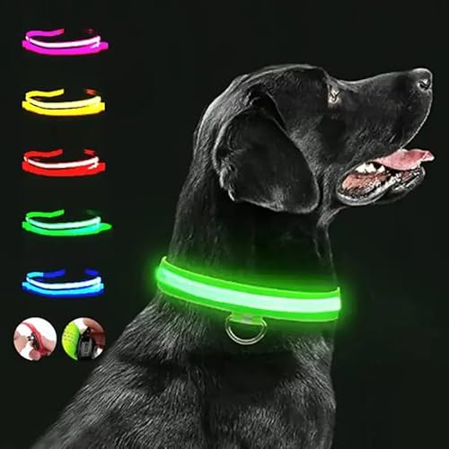 Leuchtendes Sichtbarkeitshalsband für Hunde, wiederaufladbar und wasserdicht, reflektierend, Nylon, einstellbar für kleine mittlere und große Hunde (L (43-60cm)) von Petsnackss