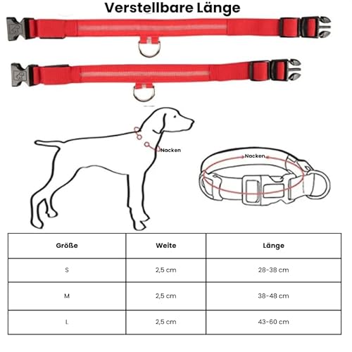 Sichtbarkeitshalsband für Hunde, aufladbar, universell passend, für kleine mittlere und große Hunde (S (28-38cm)) von Petsnackss