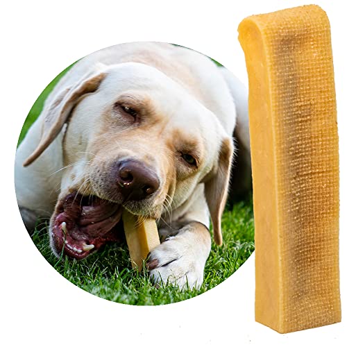 Petsoo® schmackhafter Käsekauknochen aus Hartkäse XXL für große Hunde - Kauknochen im Churpi Style aus norddeutscher Kuhmilch Kaukäse Kaustab (1) von PETSOO