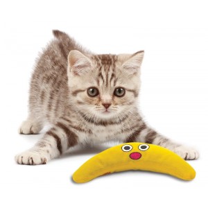 Petstages Catnip Boomerang Buddy Pro Stück von Petstages