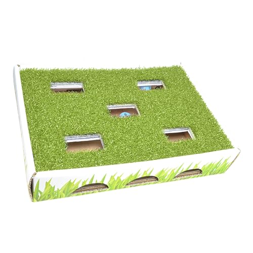 Catstages Gras Patch Jagdbox Katzenspielzeug von Catstages