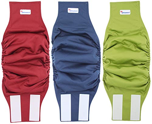 Petsweare Wasserdicht Saugfähigkeit Waschbare Robuste Wiederverwendbare Hundewindeln Inkontinenzunterlage für Männlichen Welpe und Hunde 3 Pack (Medium, Grün-Rot-Blau) von Petsweare