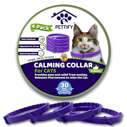 Pettify Beruhigendes Halsband für Katzen von Pettify