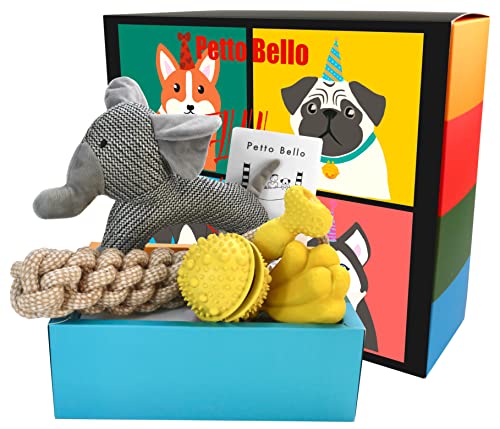 Petto Bello Geschenkbox mit 5-teiligem Set aus Hundespielzeug, Kauspielzeug, Leckerli-Spender für Hunde-Zahnpflege und Quietschspielzeug für Welpen/kleine, mittlere sowie große Hunde,Geschenk für Hund von Petto Bello