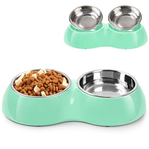 Petvillage Doppeltes Hundenapf-Set – enthält zwei 204 ml Edelstahlnäpfe und erhöhter Boden, ideal für kleine bis große Haustiere, Fütterungslösung für Hunde, Katzen, Welpen, Grün von Petvillage