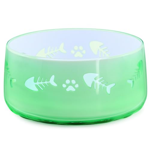 Petvillage Hundenäpfe mit Anti-Rutsch-Ringen – Acryl-Hundenäpfe für kleine Hunde – kleine Hundenäpfe – Hundefutter- und Wassernapf, kleine Größe, Mintgrün von Petvillage