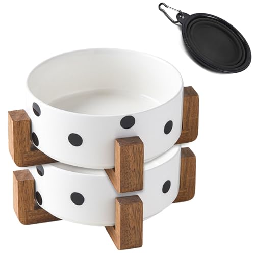 Petygooing Keramik-Hundenapf-Set mit Ständer, kleine Hundenäpfe, Futter- und Wassernapf, rutschfest, Set mit 2 Futternäpfen, kleine Hunde, 382 g, 13 cm, Schwarz mit Punkten von Petygooing