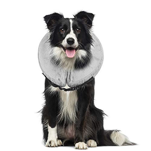 Petyoung Aufblasbares Halsband für Hunde und Katzen, weiches Halsband mit Verstellbarer Schnalle, ideal zur Erholung von Operationen oder Wunden, blockiert nicht die Sicht (L, Grau) von Petyoung