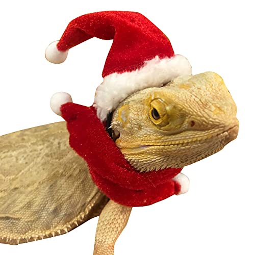 Petyoung Reptilien Hut Schal Geschirr Leine Set für Eidechse Bartagame Gecko Kleintiere Weihnachten Hut Schal Rote Leine Geschirr von Petyoung