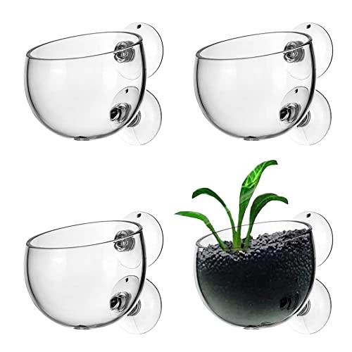 4 Stück Aquarium Glas Cup Topf, Glass Aquarium Plant Pot, Glas Cup Aquarium Pflanzenhalter, Aquarium Glas Cup Mit Saugnapf, Wasserpflanze Glas Cup, Aquarium Glas Cup, für Aquarium-Landschaft Dekora von Peuirre