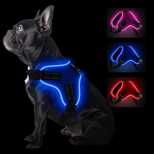 Pewkim Reflektierendes Hundegeschirr mit verstellbarer Leine, für kleine bis mittelgroße Hunde, Rosa (Blau, L) von Pewkim