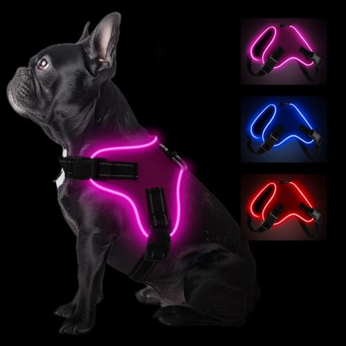 Pewkim Reflektierendes Hundegeschirr mit verstellbarer Leine, für kleine bis mittelgroße Hunde, Rosa (Rosa, L) von Pewkim