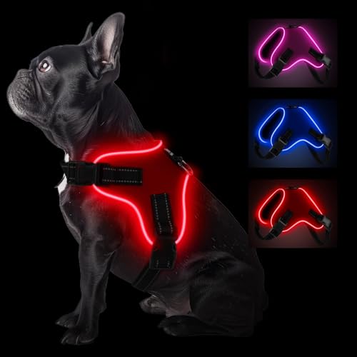 Pewkim Reflektierendes Hundegeschirr mit verstellbarer Leine, für kleine bis mittelgroße Hunde, Rosa (Rot, XL) von Pewkim