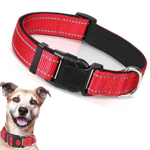 1 x verstellbares Hundehalsband, Metallschnalle, reflektierende Nylon-Halsbänder, für kleine, mittelgroße und große Hunde (S, 2 cm breit, verstellbare Größe 30–40 cm, rot) von Peysaitr