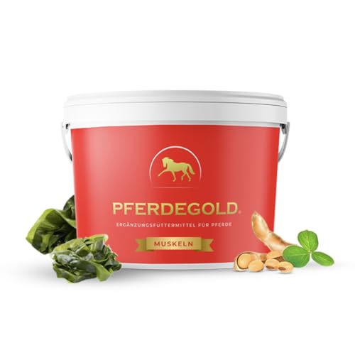 Pferdegold Muskeln 1,5kg - Pferde Pellets für Muskelaufbau mit Aminosäuren & Omega 3 - Für alle Pferderassen - 100% Natürlich & Dopingfrei - Made in Germany von Pferdegold