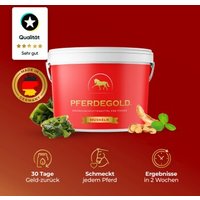 Pferdegold Muskeln von Pferdegold