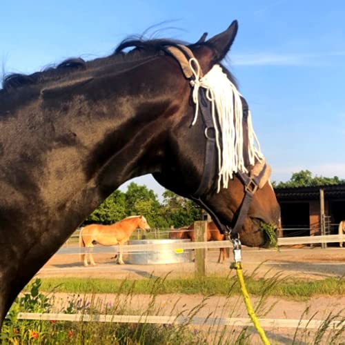 Fliegenfransen für Pferde – hochwirksamer Insektenschutz gegen Fliegen, Bremsen, Mücken – Fliegenhaube zum binden Einheitsgröße (Weiss, One Size (Warmblut + Vollblut + Kaltblut)) von Pferdelinis