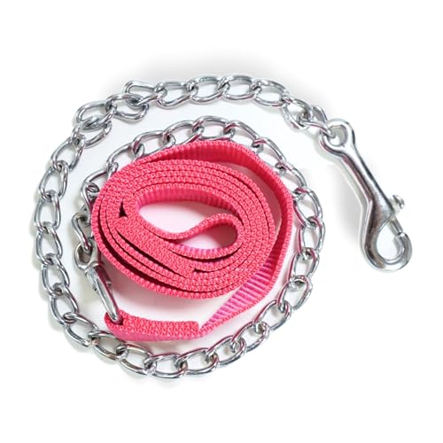 Führkette für Pferde | Sicheres Führen mit Eisenkette & Nylon Handgriff | Führleine geeignet für Hengst Hunde Pony Esel | Länge 2,10 m (Pink) von Pferdelinis