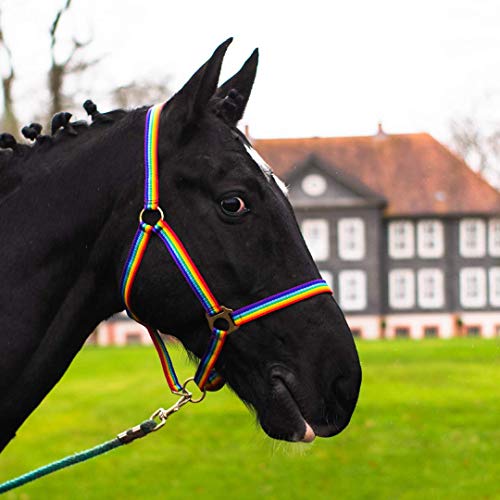 Halfter für Pferd Warmblut, Vollblut, Kaltblut – Stallhalfter, Weidehalfter, 2 Fach verstellbar an Kinnriemen und Genickstück, sicher & reißfest (Rainbow, Shetty) von Pferdelinis