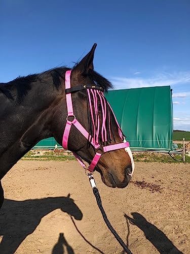 Halfter für Pferde mit Führstrick & Fliegenfransen Pferd, Halfter mit Strick - Halfter Pony Shetty Halfter Cob Full Kb (Shetty, Schwarz-Pink + Pink) von Pferdelinis