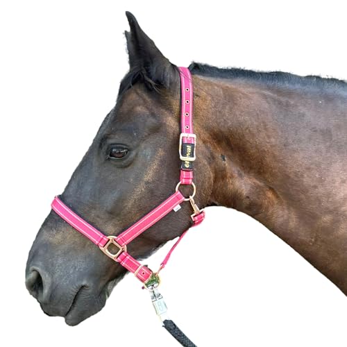 Halfter für Pferde mit Glitzer in Rosegold, Halfter Pferd in schwarz und pink, 2-Fach verstellbar (Pink Rosegold, Pony) von Pferdelinis