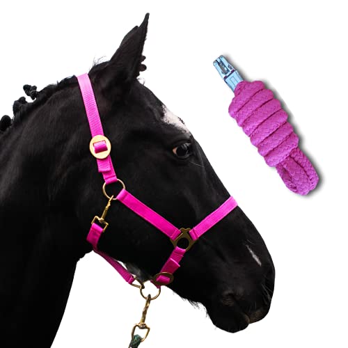 Halfter für Pferde mit Strick | Führstrick Pferd mit Halfter | Halfter Shetty, Pony, Vollblut, Full, X-Full mit Strick (Pink, Cob) von Pferdelinis