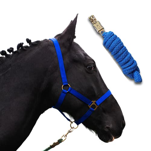 Halfter für Pferde mit Strick | Führstrick Pferd mit Halfter | Halfter Shetty, Pony, Vollblut, Full, X-Full mit Strick (Royalblau, Kaltblut) von Pferdelinis