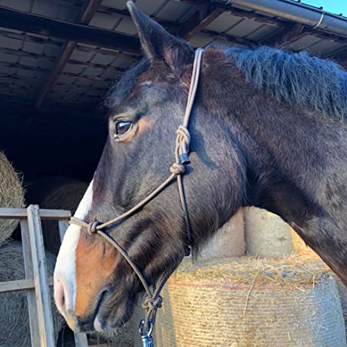 Knotenhalfter für Bodenarbeit Pferd - Knotenhalfter Cob optimal für Freiarbeit, Bodenarbeit, Führ- oder Verladetraining (Pony, Braun-Beige) von Pferdelinis