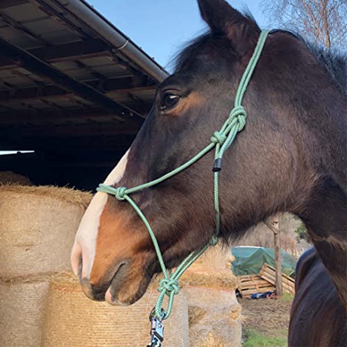 Knotenhalfter für Bodenarbeit Pferd - Knotenhalfter Cob optimal für Freiarbeit, Bodenarbeit, Führ- oder Verladetraining (Warmblut (Full), Grün-Weiss) von Pferdelinis