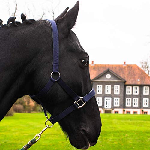 Pferdelinis Halfter für Warmblut, Vollblut, Kaltblut, Pony – Stallhalfter, Weidehalfter, 2-Fach verstellbare Dornschnallen, sicher & reißfest (Blau, Vollblut (Cob)) von Pferdelinis