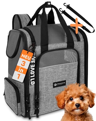 PFOTENKÖNIG Hunderucksack - Premium [3in1] - bis 9kg - Katzenrucksack incl. Gurt - Rucksack für Hunde zum Wandern und Transport - Ideal als Wanderrucksack für Hunde nutzbar von Pfotenkönig