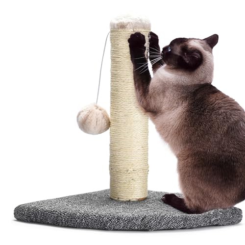 Pfotenolymp Katzenkratzbaum - Interaktiver Katzenkratzbaum für Hauskatzen - Katzenspielzeug Kratzbaum, Katzennagelkratzer mit Spielzeugball - Katzenspielstation - Kratzbaum zur Interaktion von Pfotenolymp