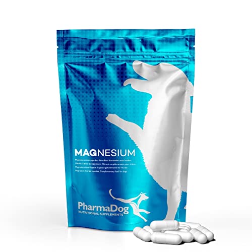 Magnesium Hund von PharmaHorse