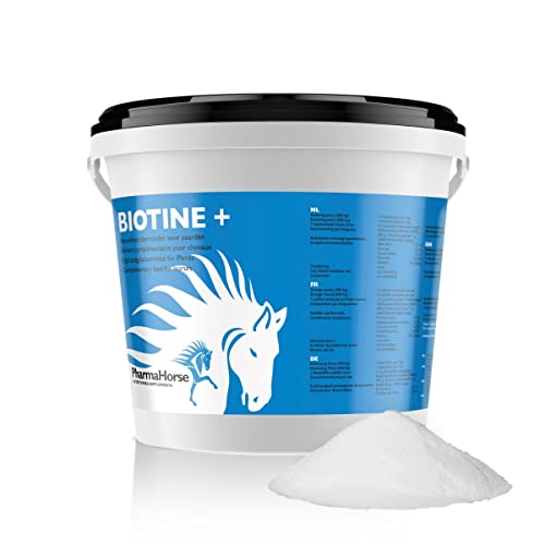 PharmaHorse Biotin+ | Haut | Nervensystem | Energiemetabolismus und Energiestoffwechsel. | Ohne Zuckerzusatz | 1000 Gramm von PharmaHorse