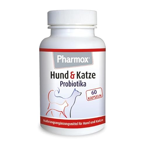 Pharmox Hund & Katze Probiotika (und Präbiotika) - 60 Kapseln - hochdosiert - Hilft der Verdauung - Unterstützen Sie die Darmflora von Pharmox