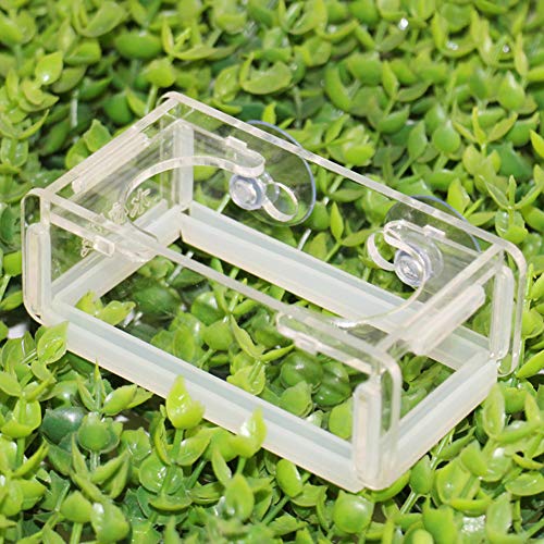 Aquarium Feeder Cup, Acryl Transparent Fisch Feed Feeder Fisch Futterring Aquarium Fische Schwimmender Futterspender Halter mit Saugnäpfen und Anti-Kollisionsstreifen an der Unterseite von Phefop