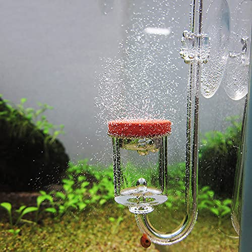 Phefop CO2-Ventilblasenzähler, transparent, für Aquarium, mit Blasenzähler, Wasserpflanzen für Aquarium (M) von Phefop