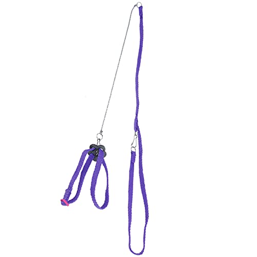 Vogelgeschirr, Trainingsvogelgeschirr, Verstellbares Faser-Vogelgeschirr Zum Spielen für Haustiere für Outdoor-Training für Papageien (Purple) von Phefop