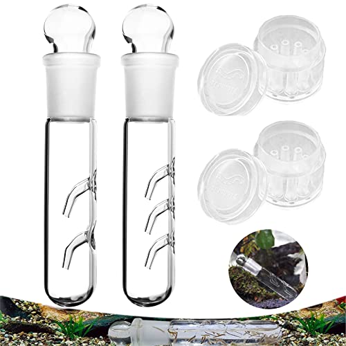 PhoenixDN 4 Stück Planaria Trap, Planarienfalle Glas, 2 Loch 3 Loch Klarglas Catcher Trap, 8 Löcher Acryl Aquarium Falle, Falle und Schnecken Falle für Aquarium Garnelen Aquarium von SoundZero