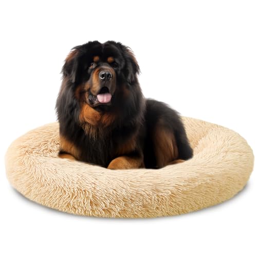 PiPiCat Flauschiges Haustierbett, 100cm, Hundebett, Katzenbett, Hundekissen, Hundekorb, Donut-förmig, warm, waschbar, rutschfest, für mittel-/großes Haustier (100cm, Aprikose) von PiPiCat